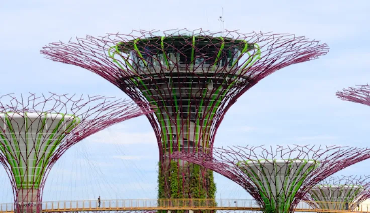 چرا پاییز بهترین فصل برای سفر به سنگاپور است؟